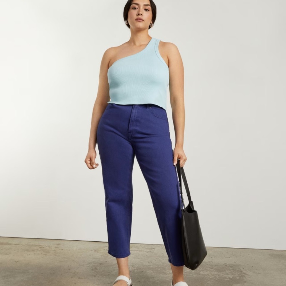 EVERLANE The Way-High Hourglass Jean Archroma Deep Lapis Size: 24 Tall